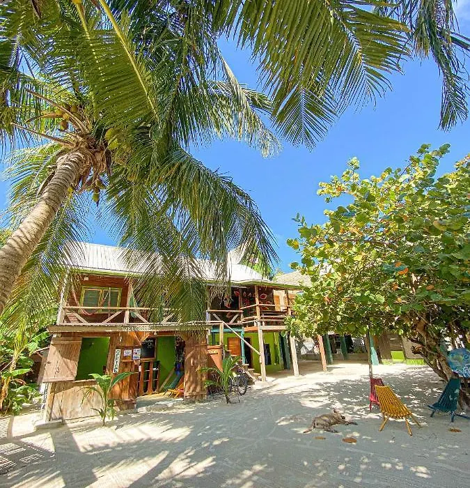 Bella'S Backpackers Hostel-1